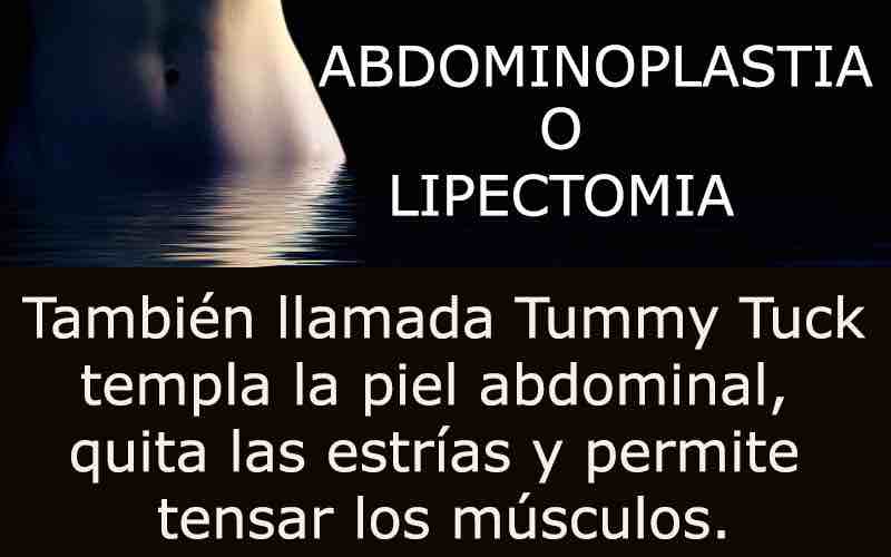 abdomen